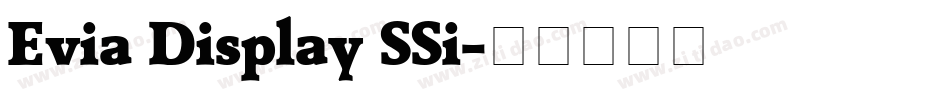 Evia Display SSi字体转换